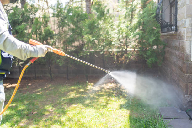 Best Affordable Pest Control Services  in USA